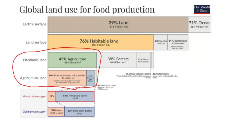 Steak Prices, Sustainability & the Sprouting Gear Solution: A New Model for American Cattle Feeding