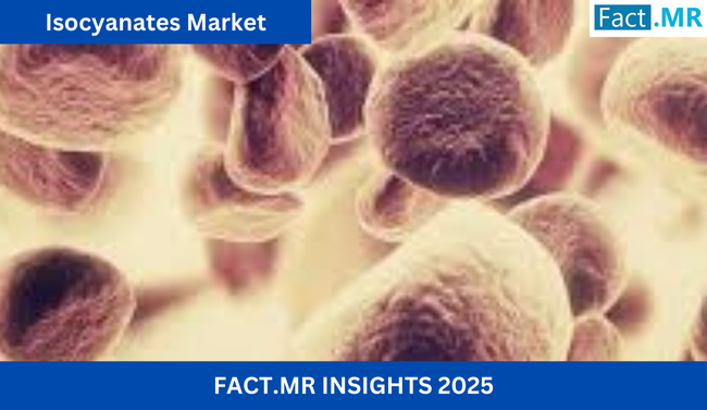 Isocyanates Market Size is Projected to Reach US$ 59.01 Billion by 2035 With a CAGR of 6.0% | Fact.MR