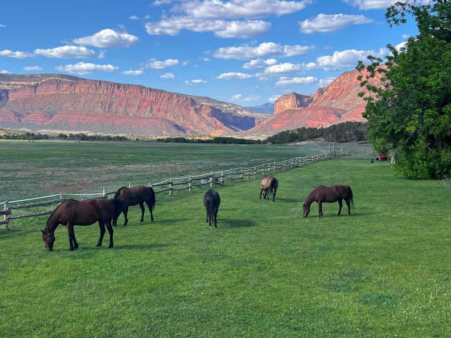 Iconic 1,954-Acre Sinbad Ranch Provides Big Game Hunting In Western Colorado’s Unit 60