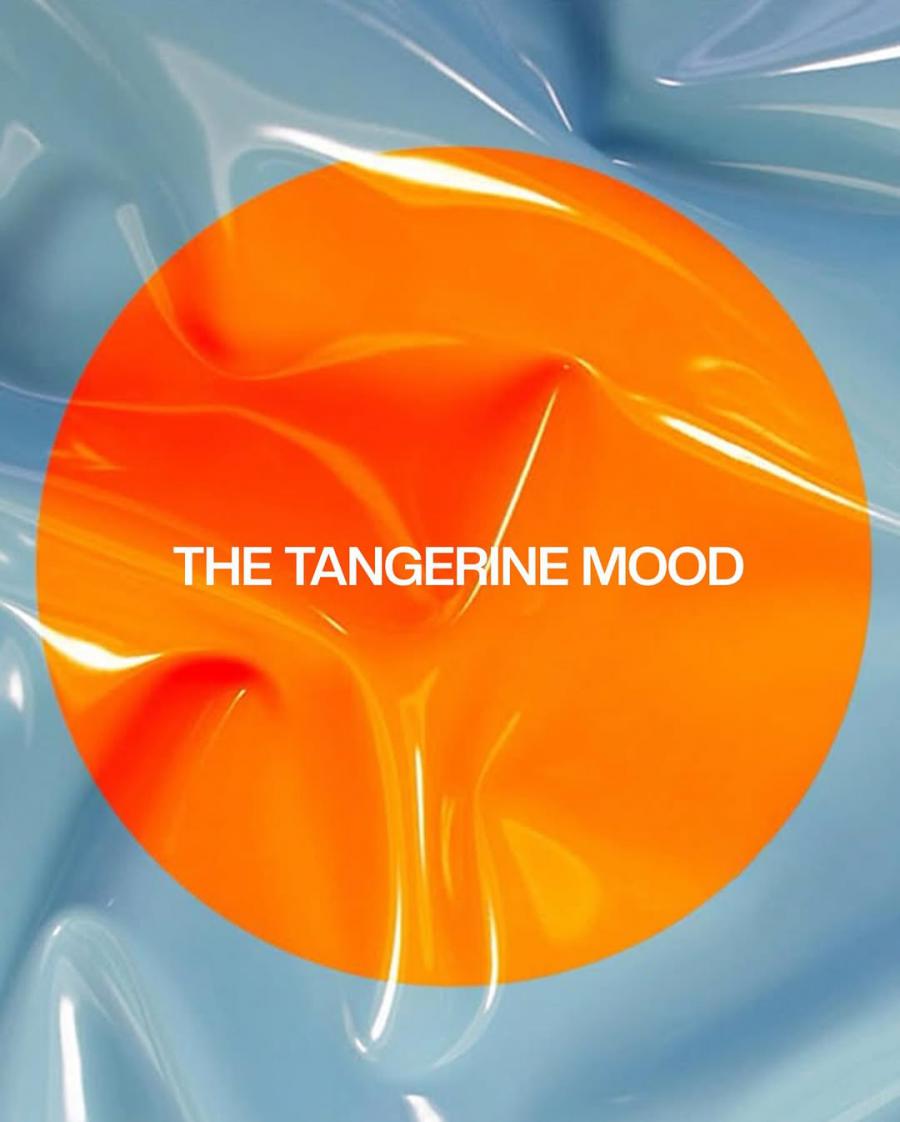 Emily Lyons Launches Tangerine: A Personal Branding Studio for Icons in the Making