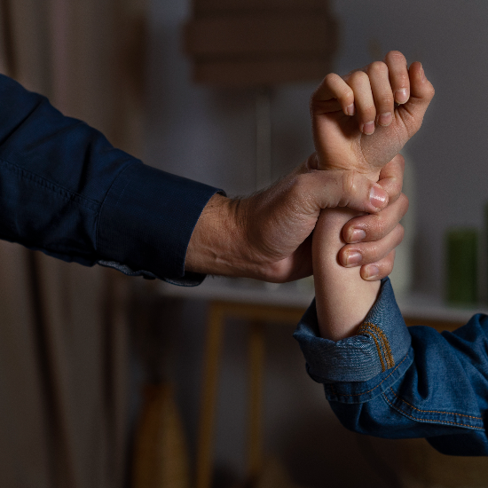 Viola Law Firm: Trusted San Mateo Family Law Attorney