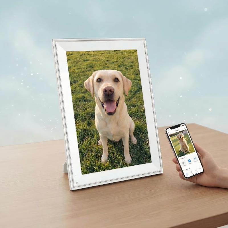 Bringing Pets to Life: PetLive Introduces AI Digital Frame for Emotional Companionship