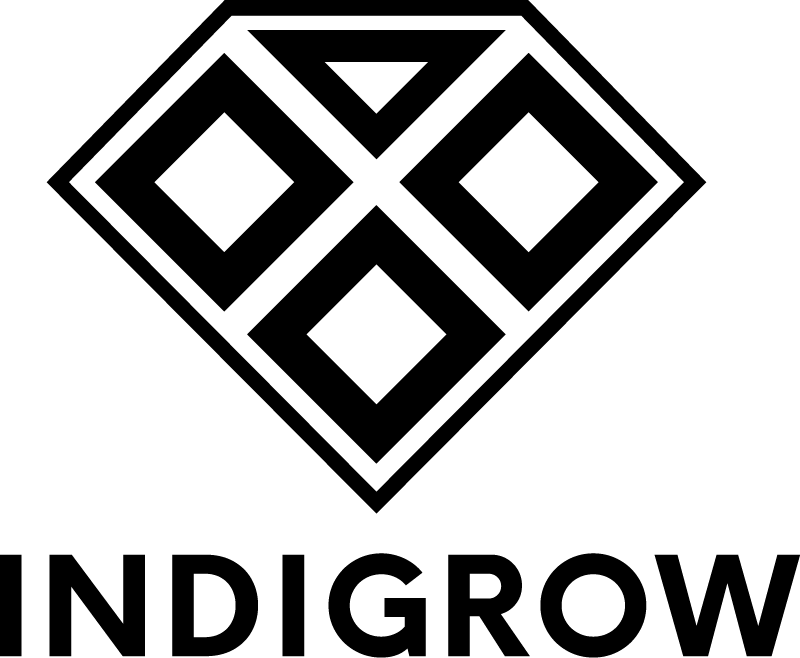 Your Guide to Finding Quality CBD Products in Muskegon, MI