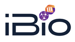 iBio to Provide an Update on Cardiopulmonary Program Targeting Pulmonary Hypertension Associated with Heart Failure with Preserved Ejection Fraction (PH-HFpEF)