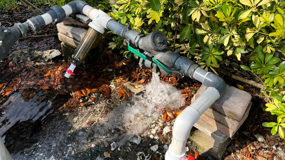 Sarasota Homeowners Face Irrigation Decisions As In Bloom Releases Guidance