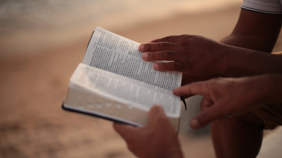How to Study the Bible: Understanding God’s Plan From Genesis to Revelation